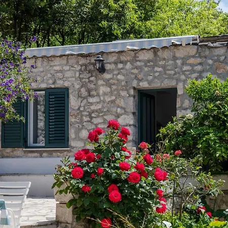 Apartman Gaestezimmer Mit Kleiner Gartenterrasse Stikovica